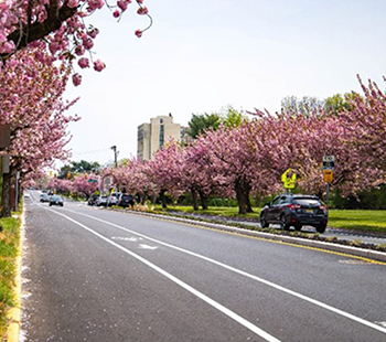 Add Your Heading Text Here