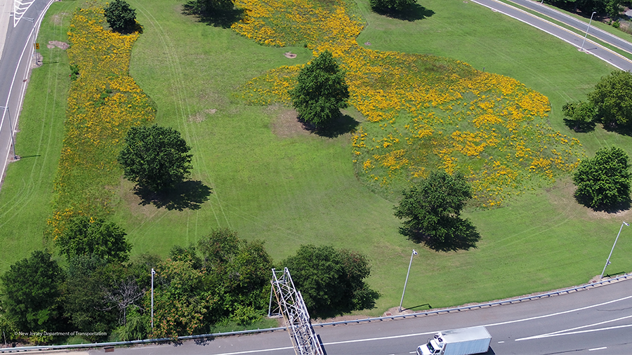 UAS inspection of a pollinator habitat on NJ-35